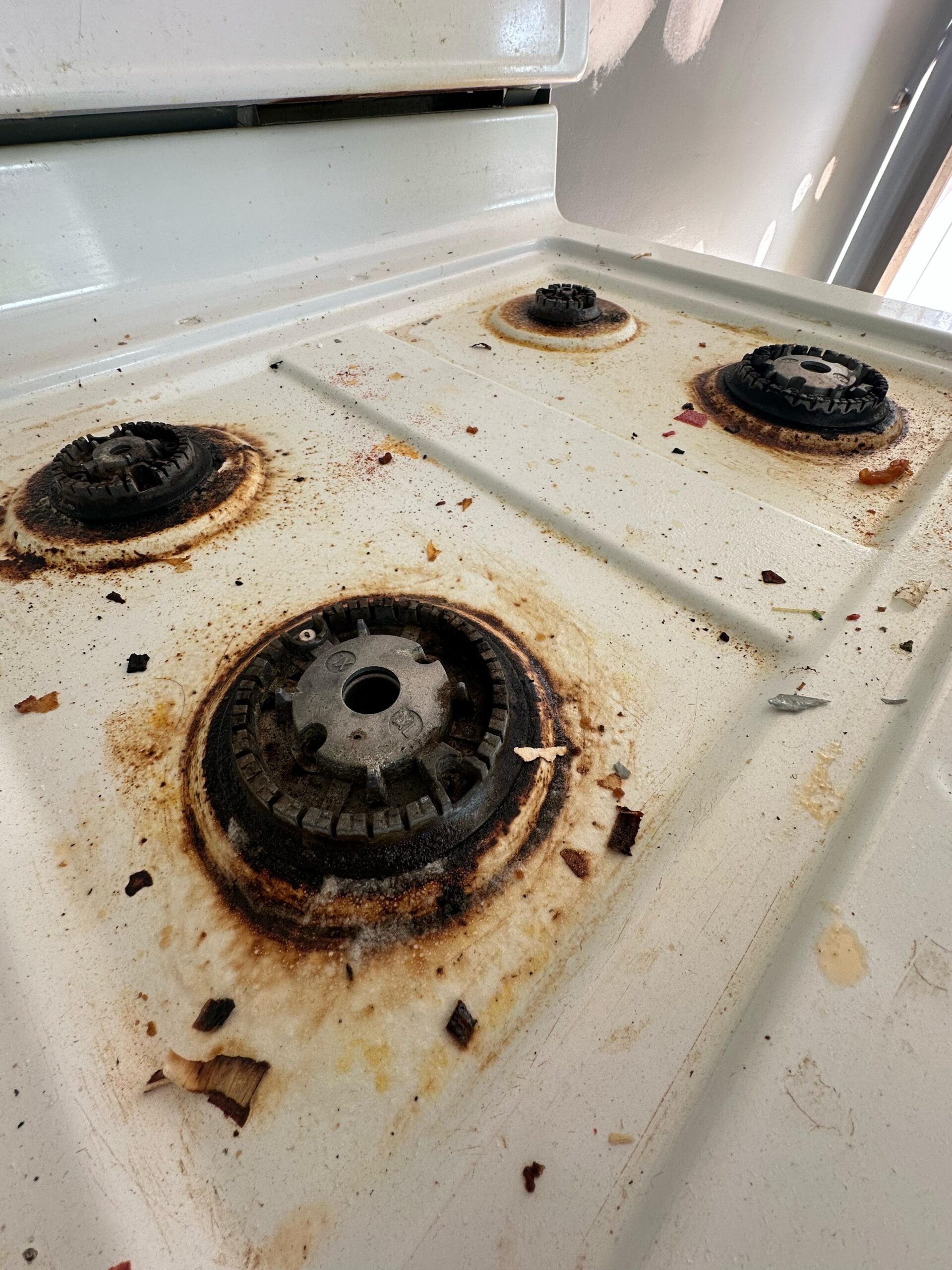 WhatsApp Image 2025-10-09 at 12.32.36